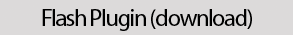 flash plugin download button