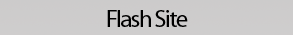 flash site button